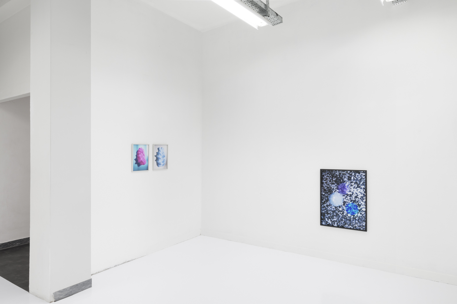 Pauline Batista, Is Your System Optimized, exhibition view @GALLLERIAPIU 2019_-