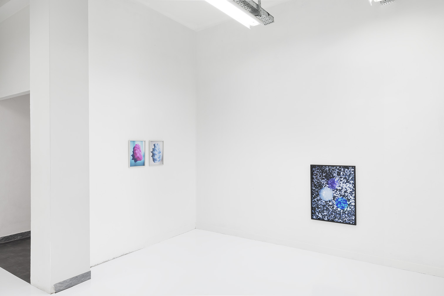 Pauline Batista, Is Your System Optimized, exhibition view @GALLLERIAPIU 2019